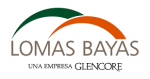 logo-lomas-bayas